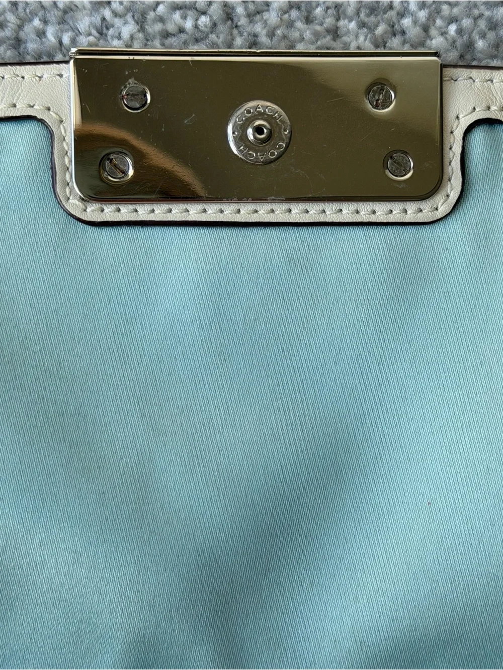 Coach Kristin Python Embossed Leather Crossbody Bag Silver Chain